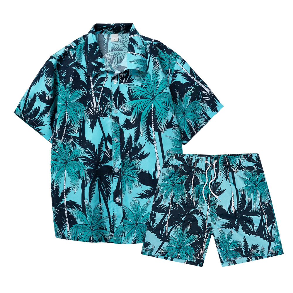 Hawaiian Coconut Tree 3D Print - Summer Clothing Types 리뷰 및 가격